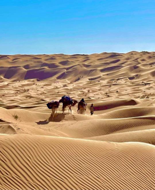 Grand Sud, La Maison De Sable Douz Buitenkant foto