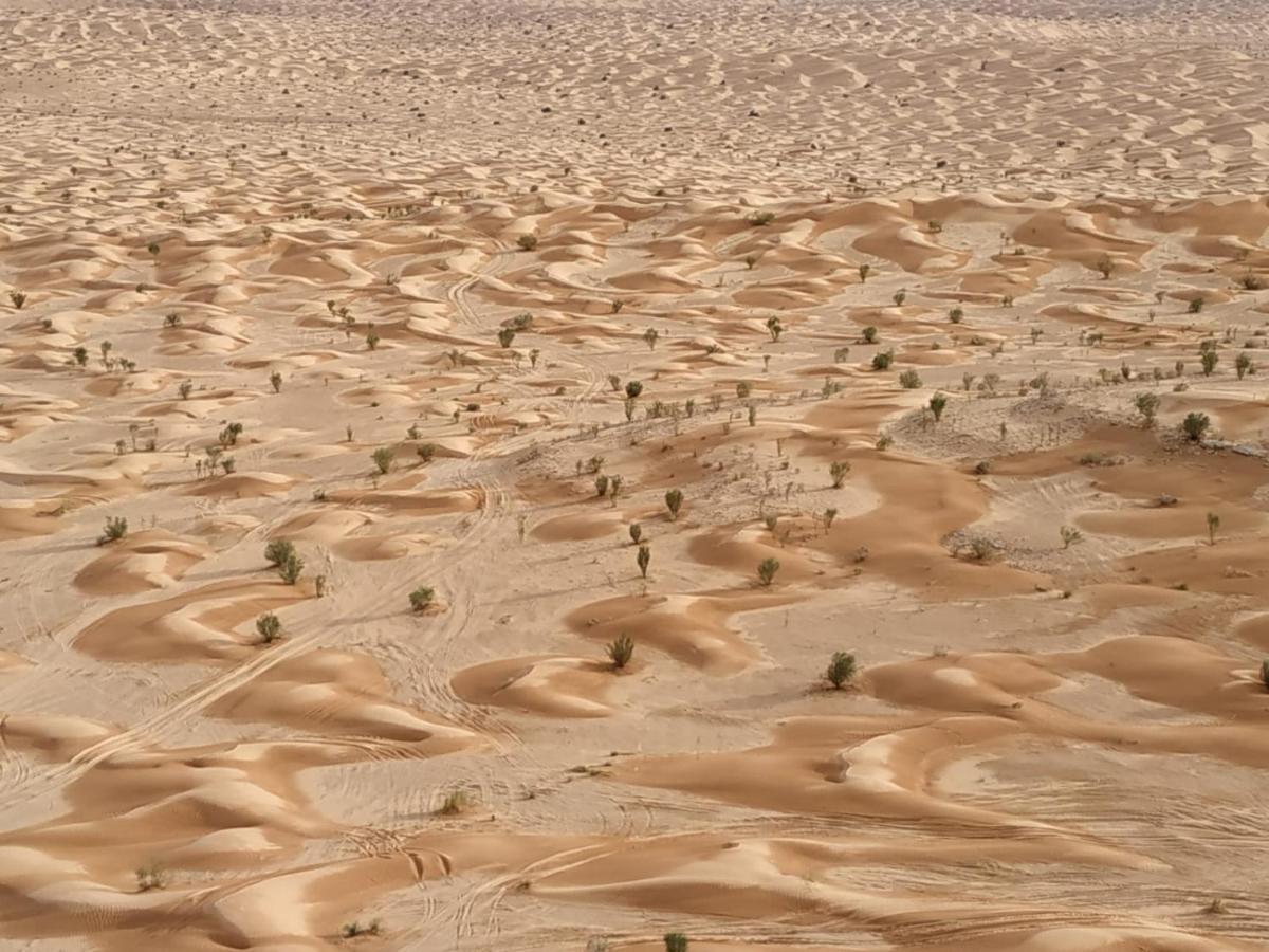 Grand Sud, La Maison De Sable Douz Buitenkant foto